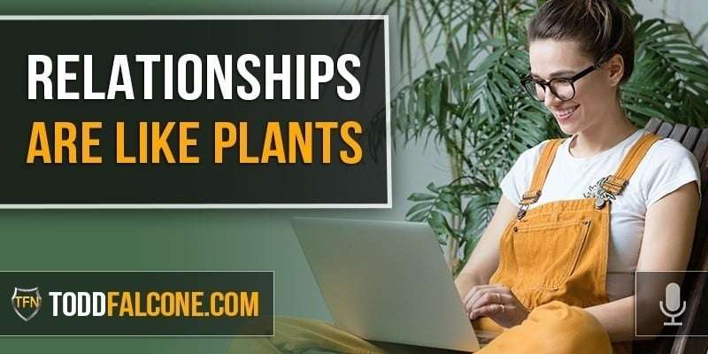 Relationships Are Like Plants