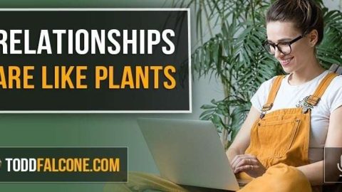 Relationships Are Like Plants