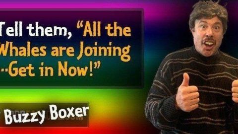 Tell them All the Whales are Joining Get in Now